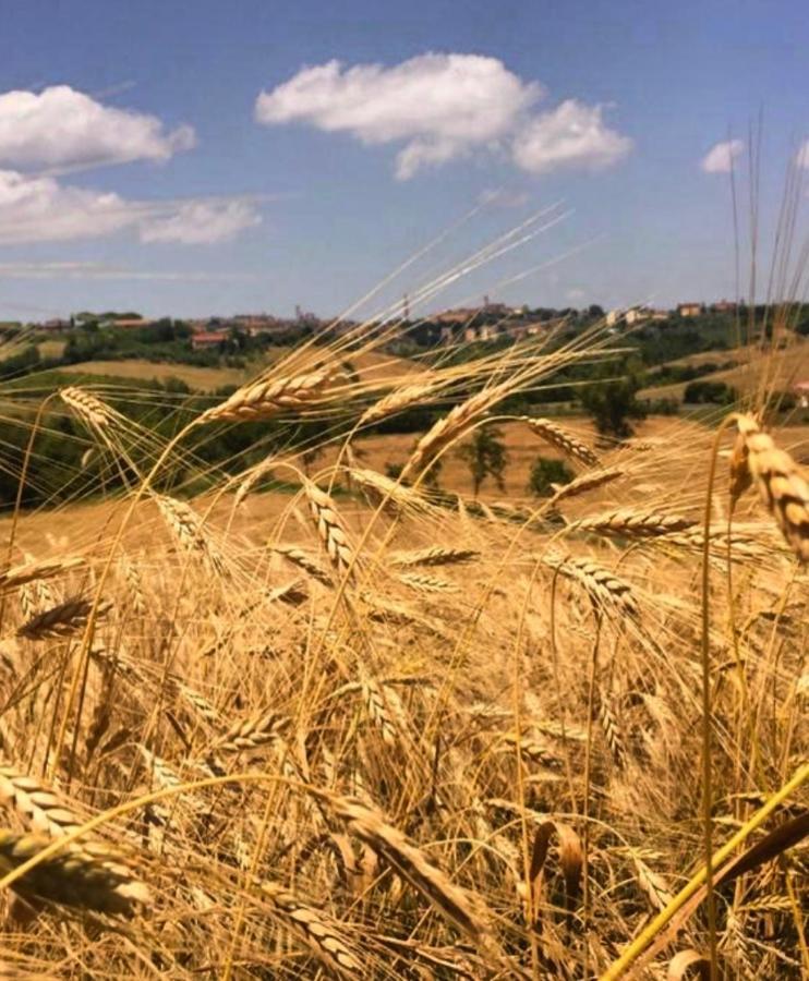 Agriturismo La Corte Del Sole Siena Eksteriør billede