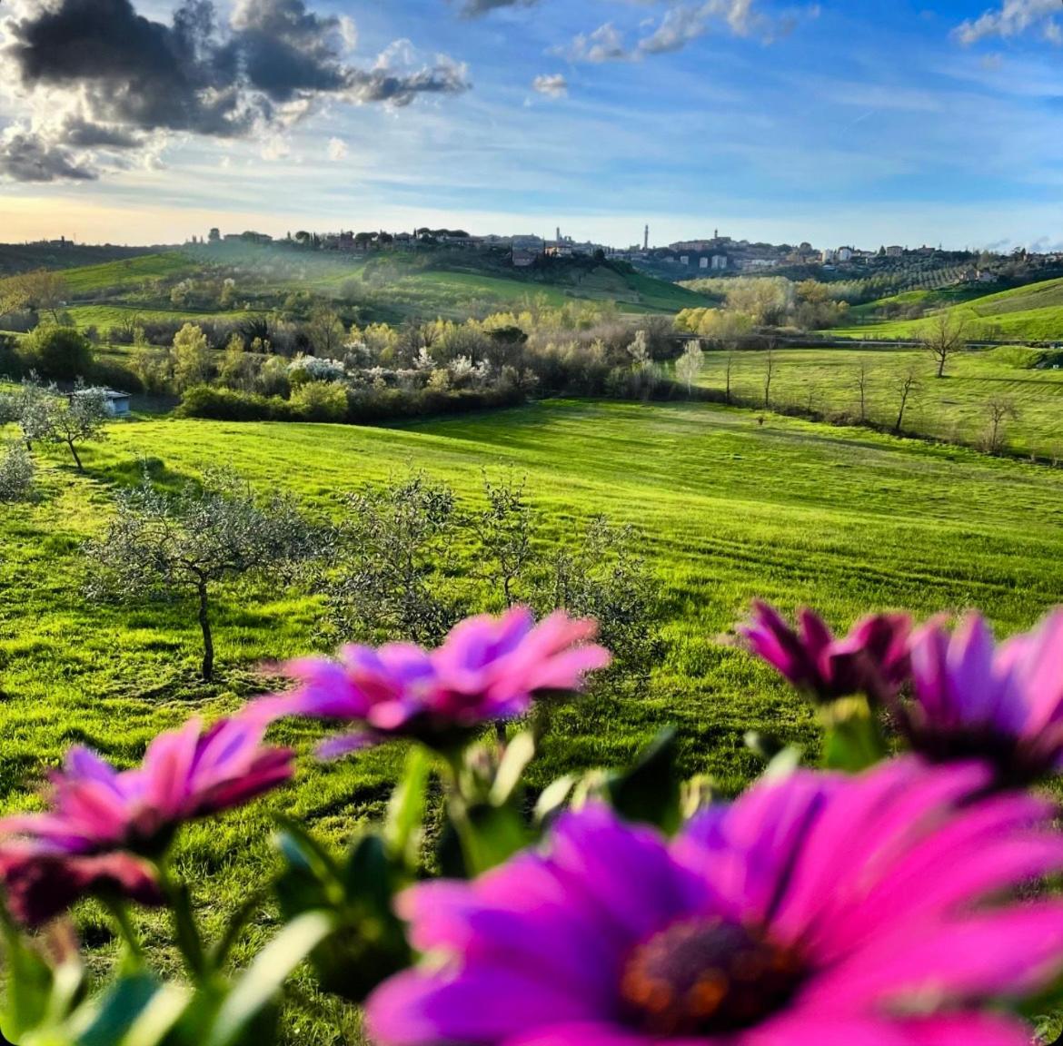 Agriturismo La Corte Del Sole Siena Eksteriør billede