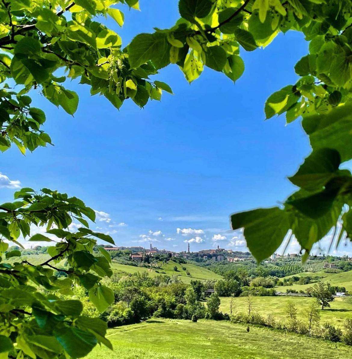 Agriturismo La Corte Del Sole Siena Eksteriør billede