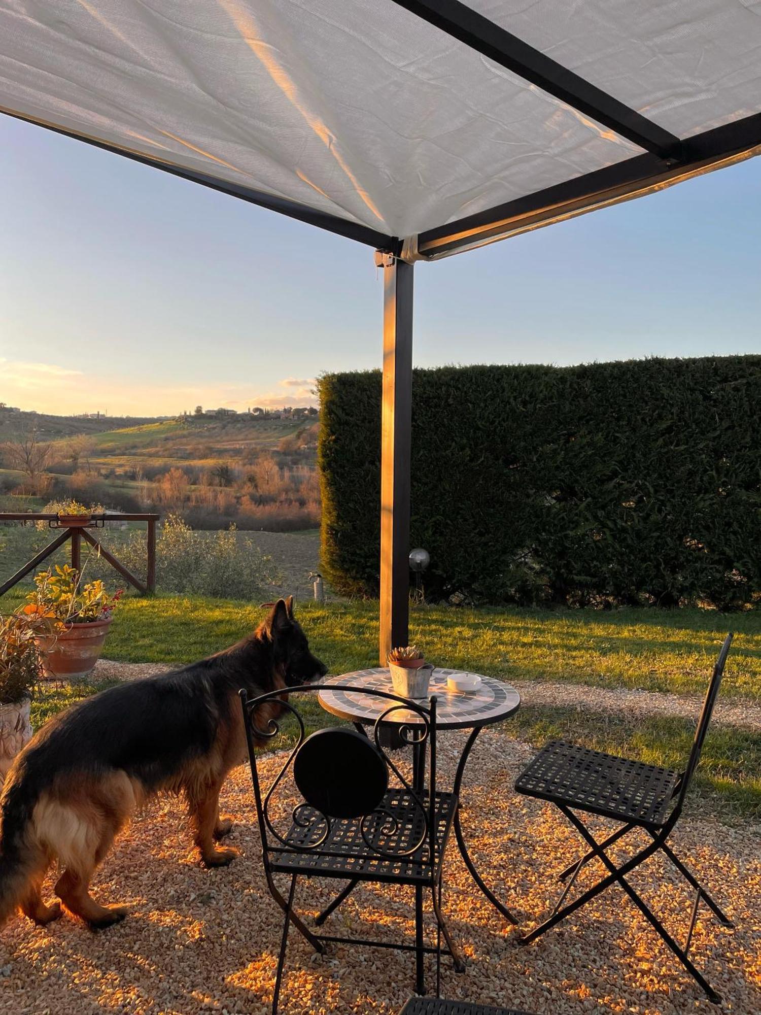 Agriturismo La Corte Del Sole Siena Eksteriør billede