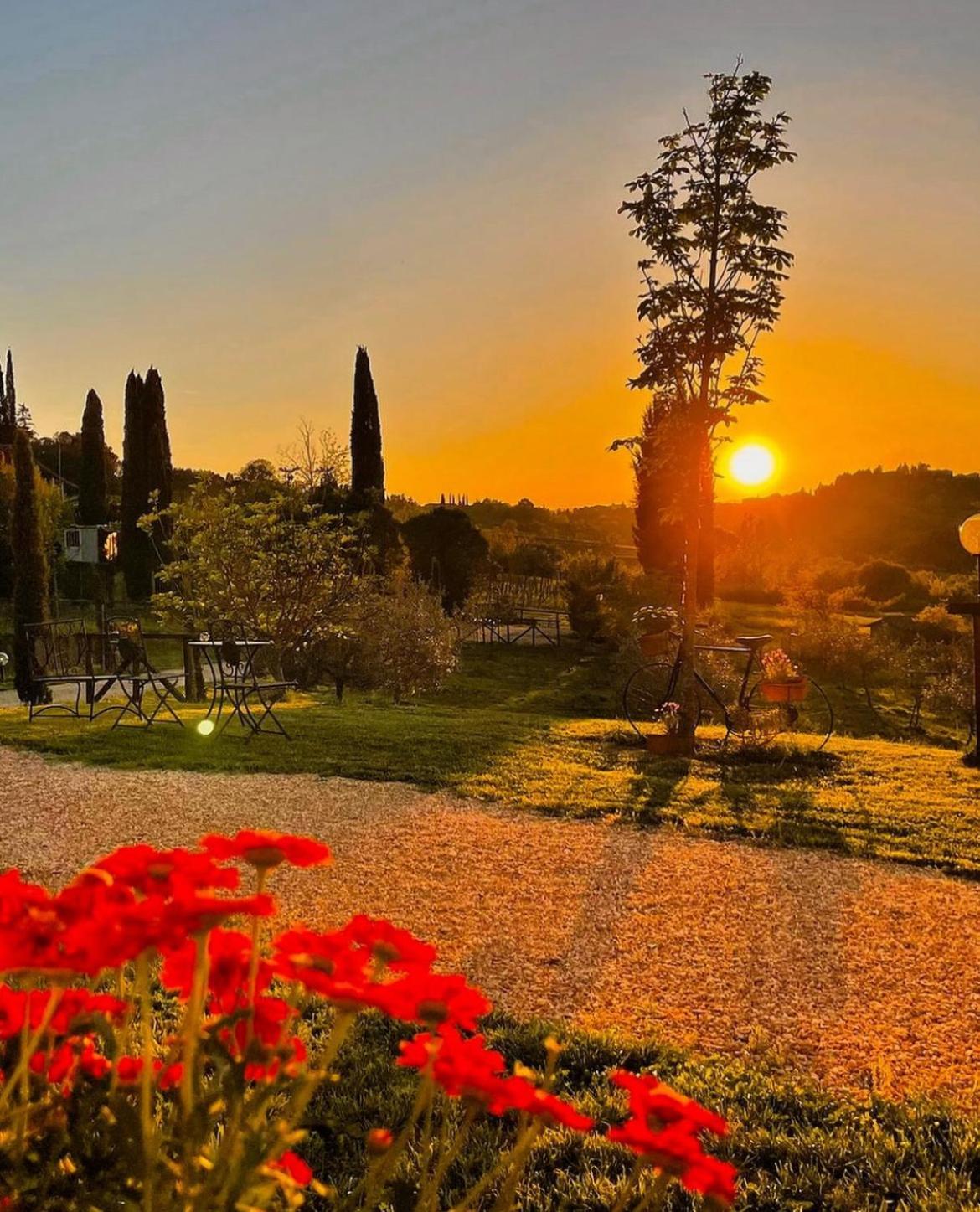 Agriturismo La Corte Del Sole Siena Eksteriør billede