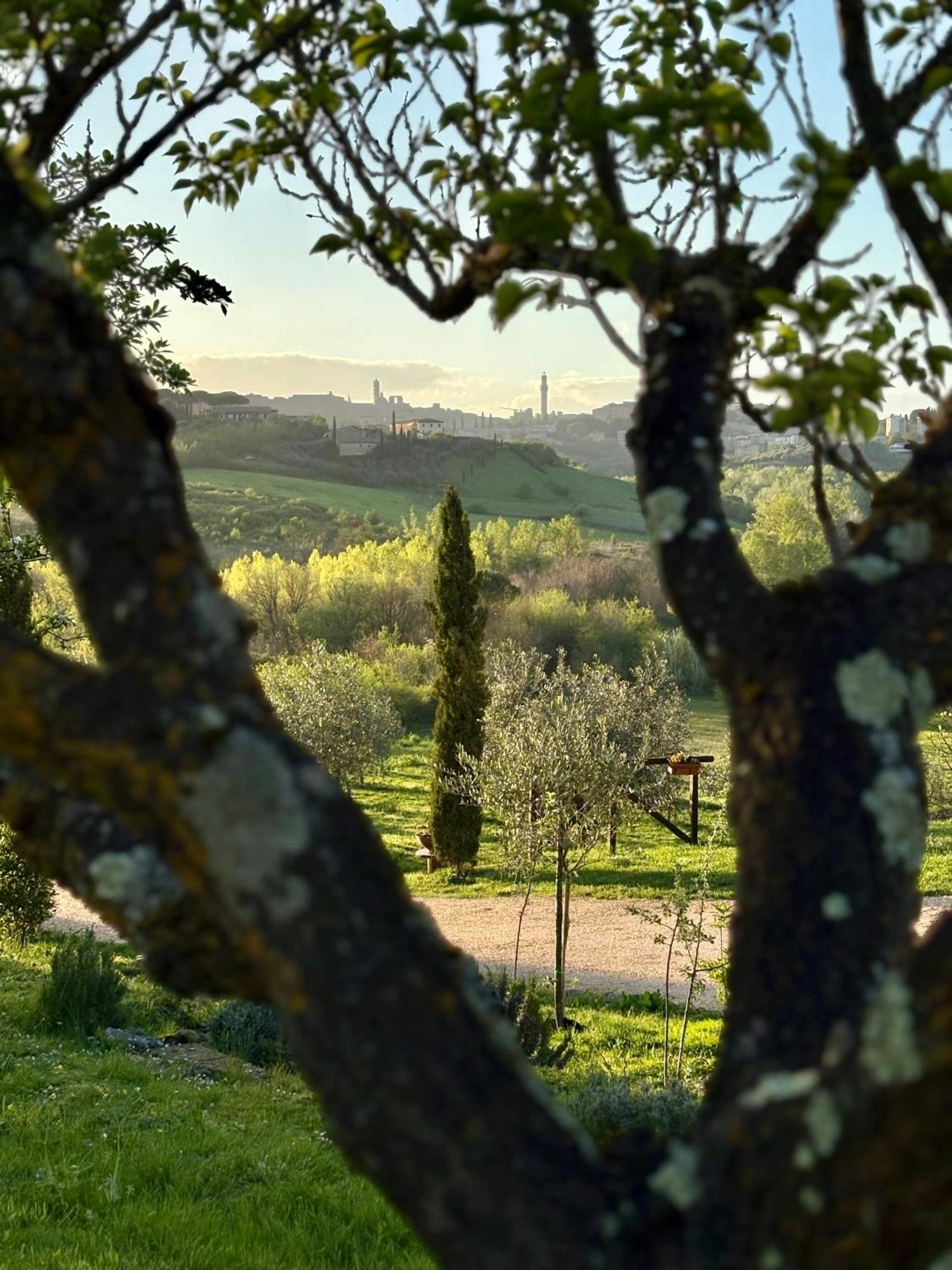 Agriturismo La Corte Del Sole Siena Eksteriør billede