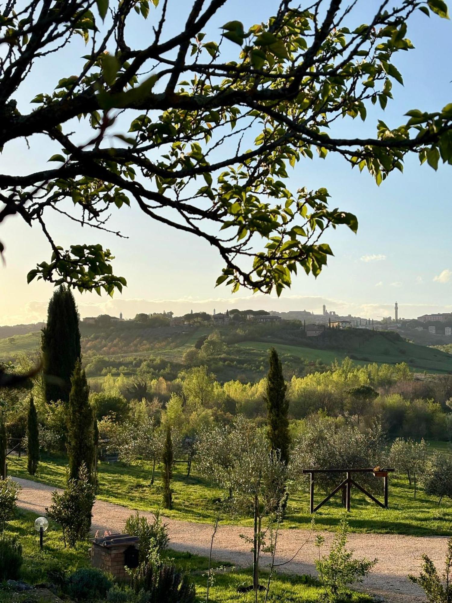 Agriturismo La Corte Del Sole Siena Eksteriør billede